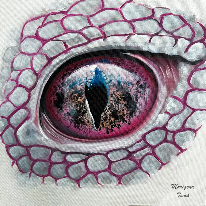 02 Animal Eye Collection