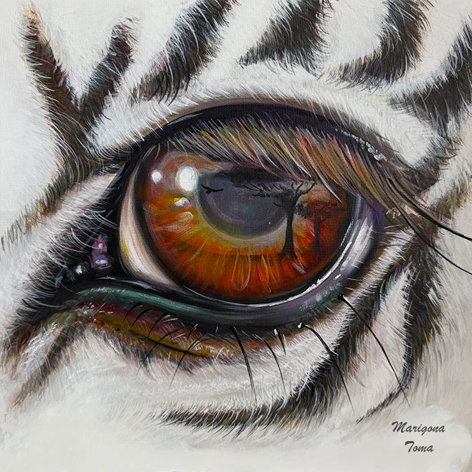 Wild Amber by Marigona Toma